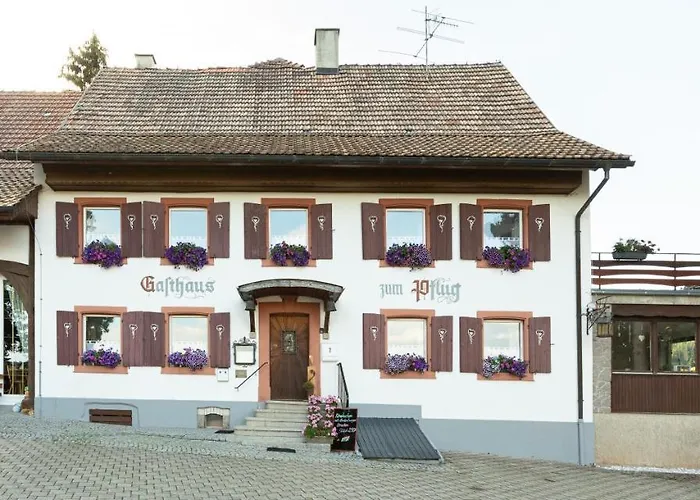 Hotel Landgasthof Zum Pflug