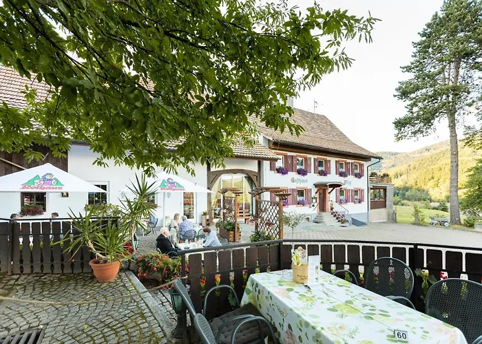 Hotel Landgasthof Zum Pflug