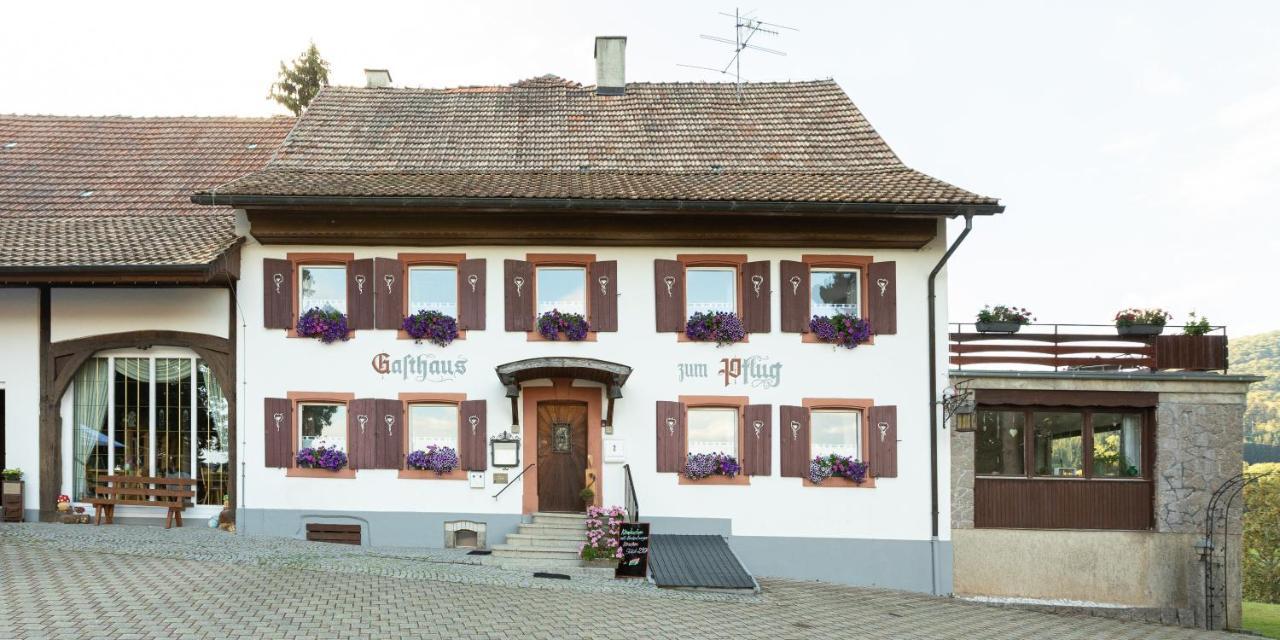 Landgasthof Zum Pflug 3*