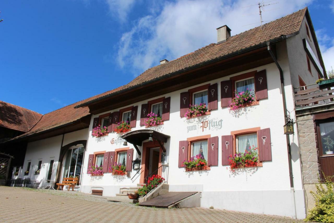Landgasthof Zum Pflug 3*