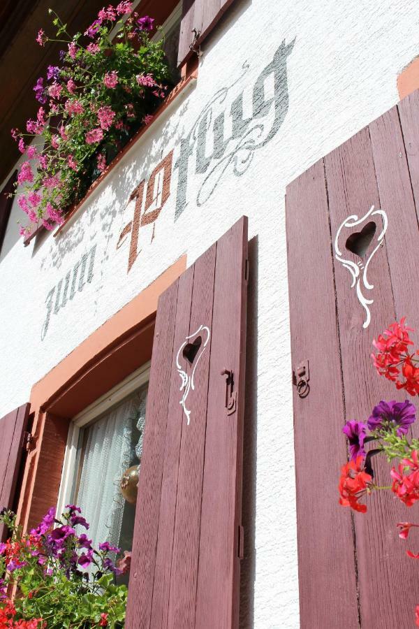 Hotel Landgasthof Zum Pflug
