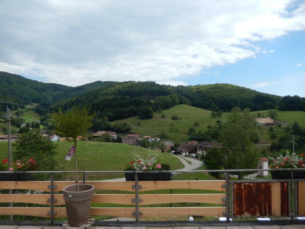 Landgasthof Zum Pflug 3*
