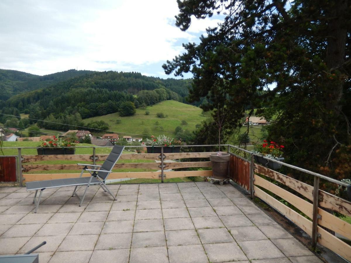 Landgasthof Zum Pflug 3* Kleines Wiesental